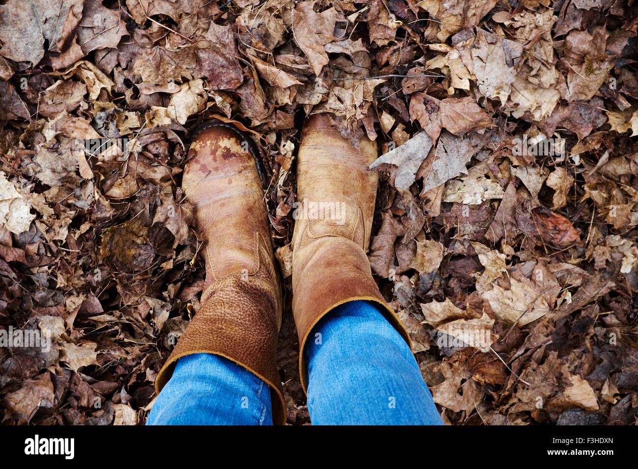 Vue aérienne de porter des bottes femme debout dans les feuilles d'automne Banque D'Images