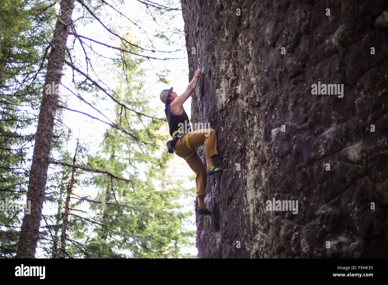 L'homme de l'escalade, le Dôme Français, Zig Zag, Oregon, USA Banque D'Images