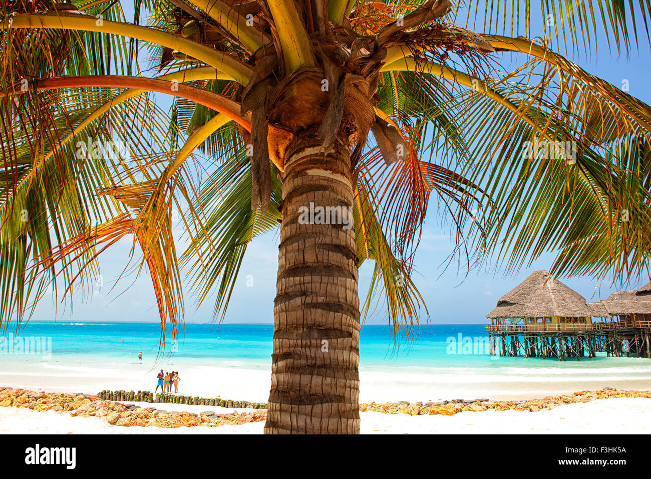 La Tanzanie, l'archipel de Zanzibar, l'île d'Unguja (Zanzibar), Nungwi Banque D'Images