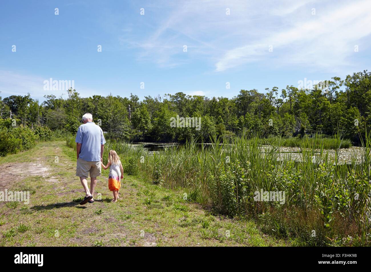 Vue arrière du grand-père et fille se promener à rural lake Banque D'Images