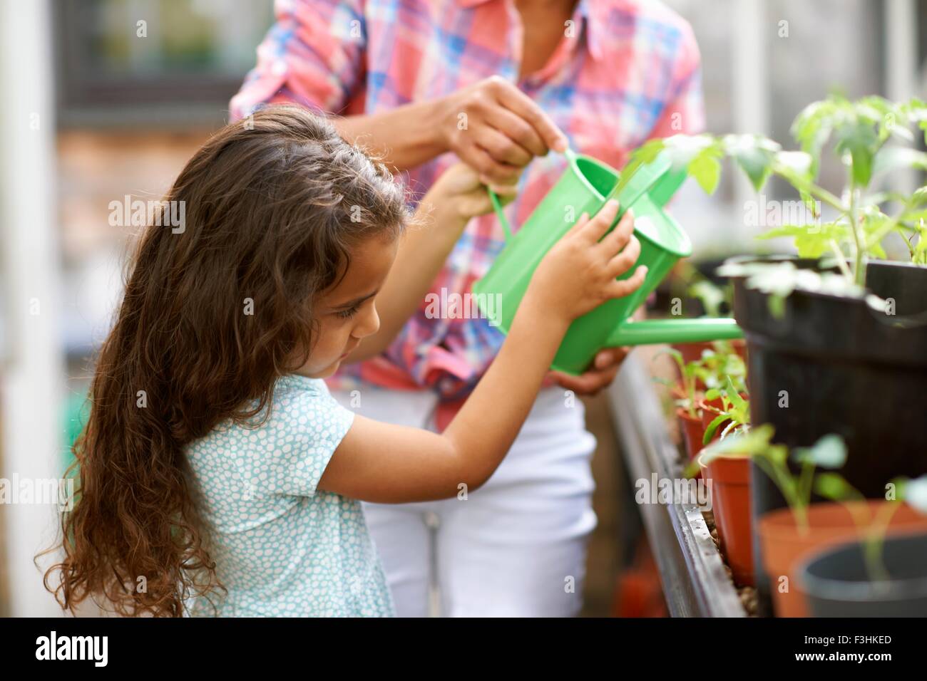 Fille et Mid adult woman arroser les plants in greenhouse Banque D'Images