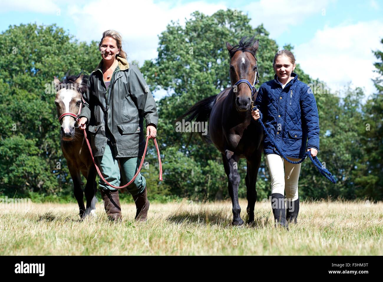 Mère et fille conduisant les chevaux dans le champ Banque D'Images