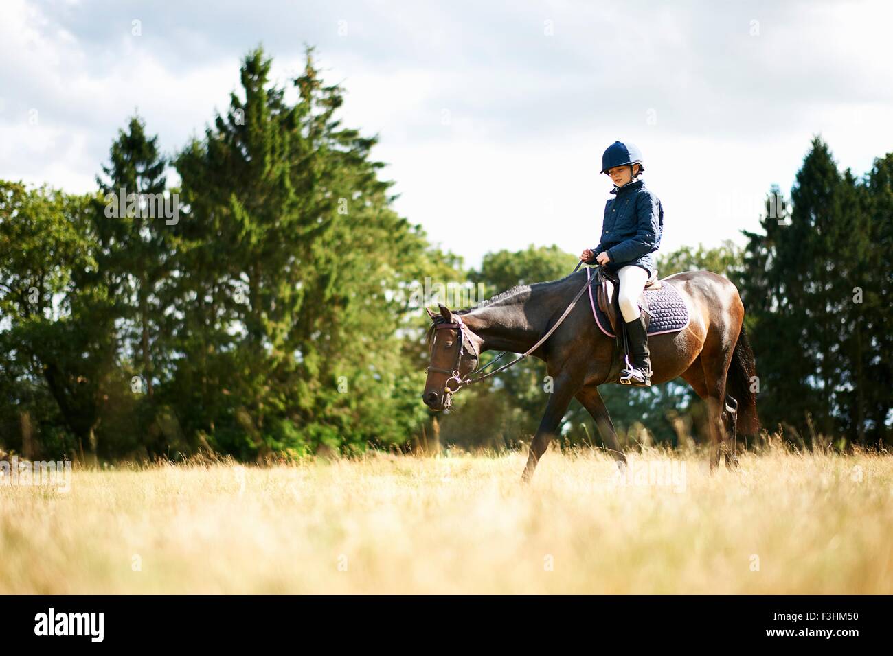 Girl l'équitation dans le champ Banque D'Images