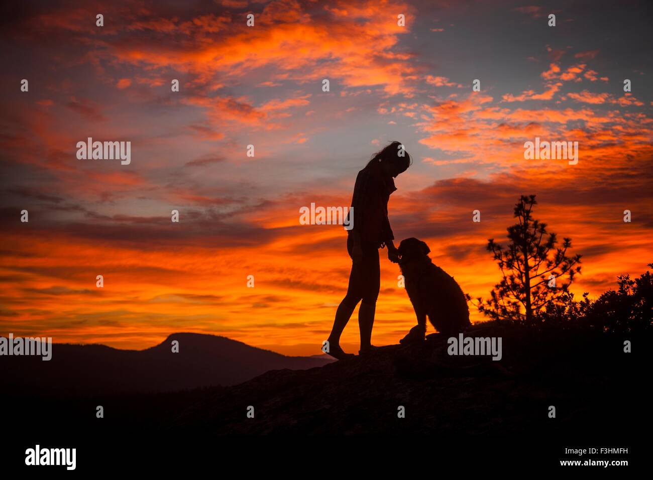 Silhouette de jeune femme et chien avec orange ciel dramatique, High Sierra National Park, California, USA Banque D'Images