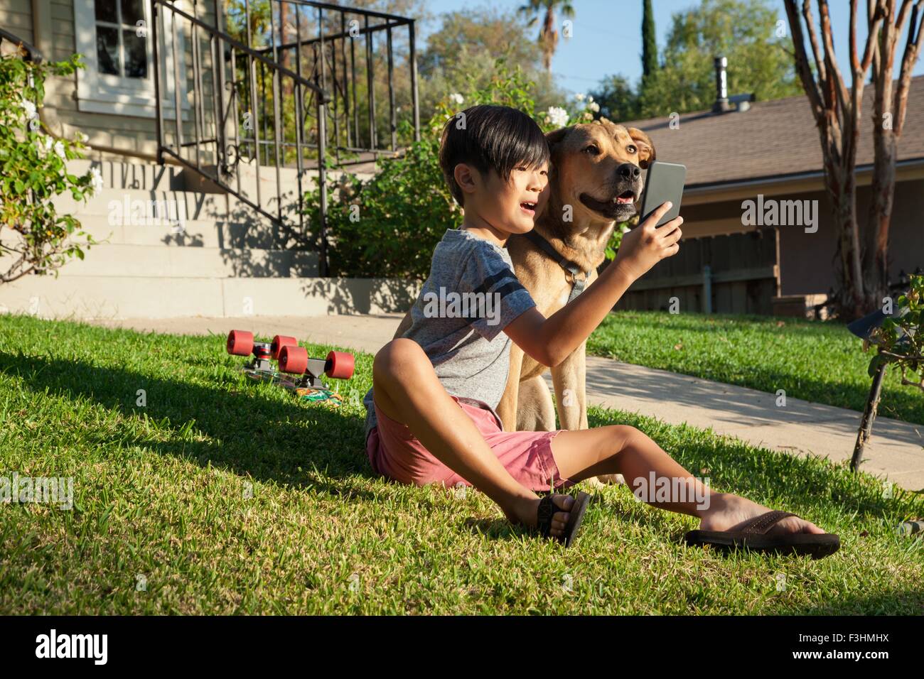 Boy posing for smartphone avec selfies chien dans jardin Banque D'Images