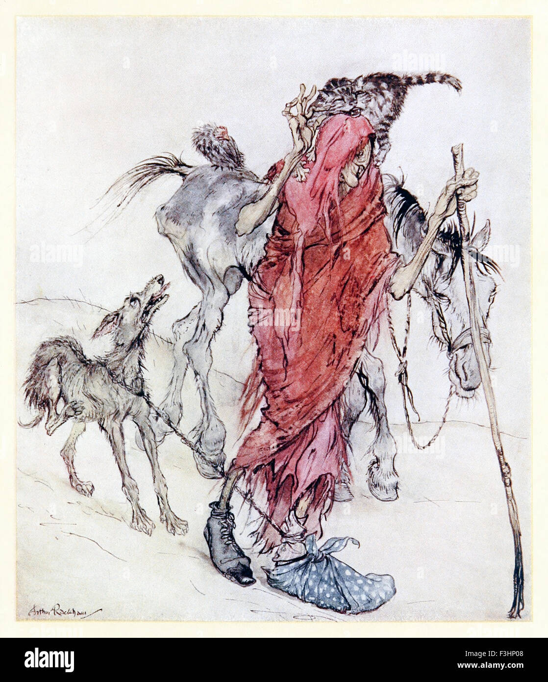 L 'hag du moulin fut un pôle de minces bony, un hag avec pieds impairs.' de 'Mongan's Frenzy' in 'Contes irlandais', illustration par Arthur Rackham (1867-1939). Voir la description pour plus d'informations. Banque D'Images