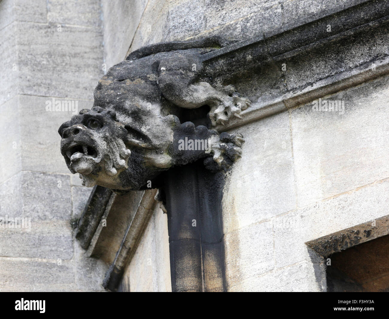 Reve De lion sur le côté de l'University College, Université d'Oxford. Banque D'Images