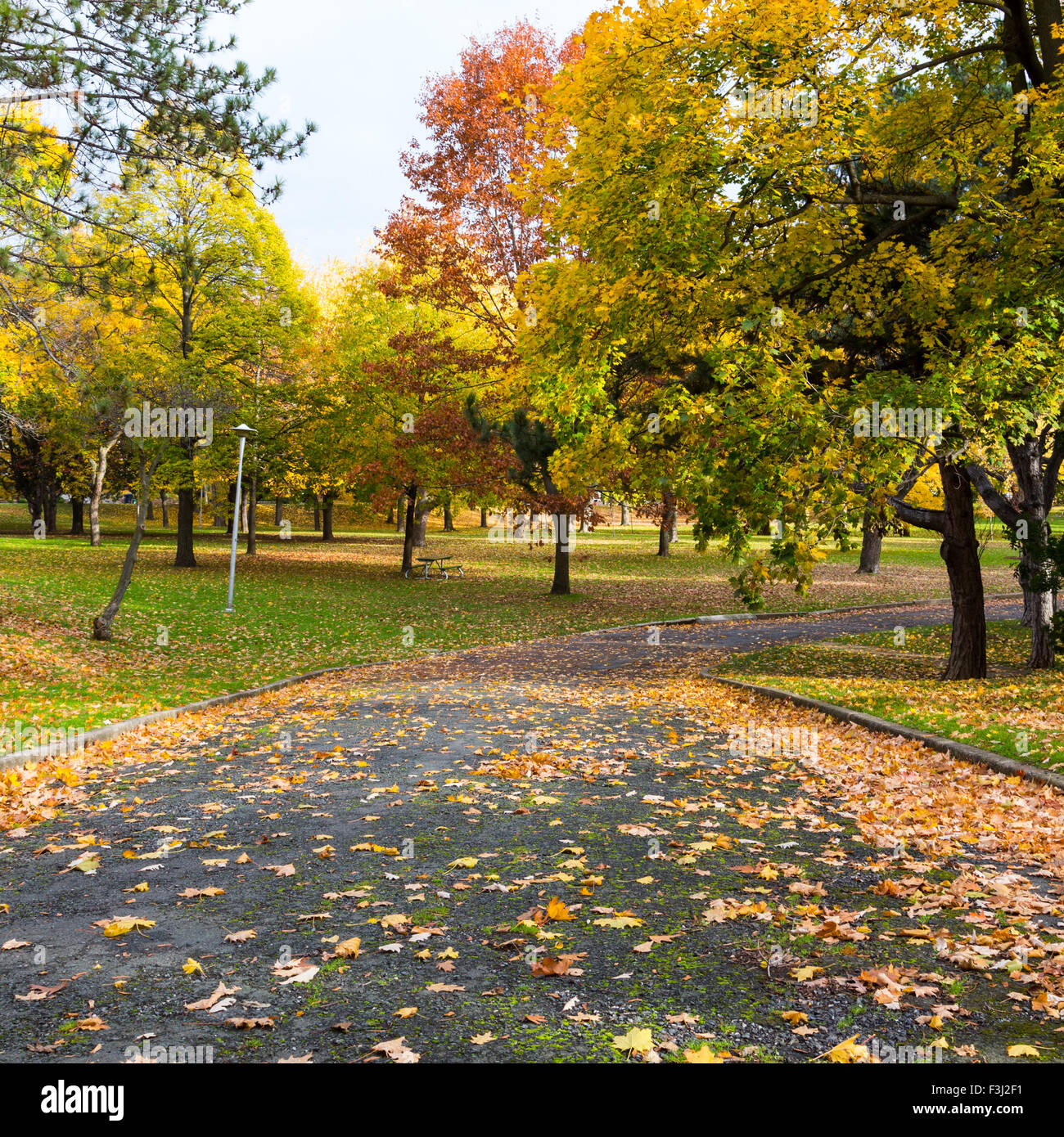 Beau sentier piétonnier au Canada à l'automne. Feuilles d'érable colorées peut être vu sur le sol et sur les arbres de chaque côté de la Banque D'Images