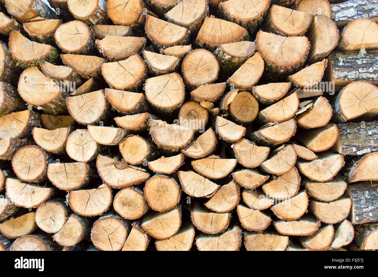 Pile de bois de sciage. Pile de bois pour l'hiver Banque D'Images