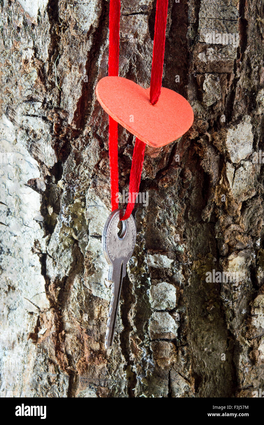 Key suspendue à un cœur sur une écorce d'arbre Banque D'Images