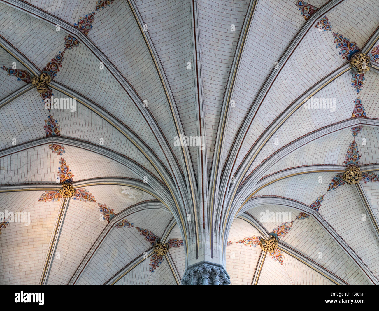 Voûte du ventilateur dans la salle capitulaire de la cathédrale de Salisbury, une cité médiévale de style gothique du xiiie siècle lieu de culte chrétien. Banque D'Images