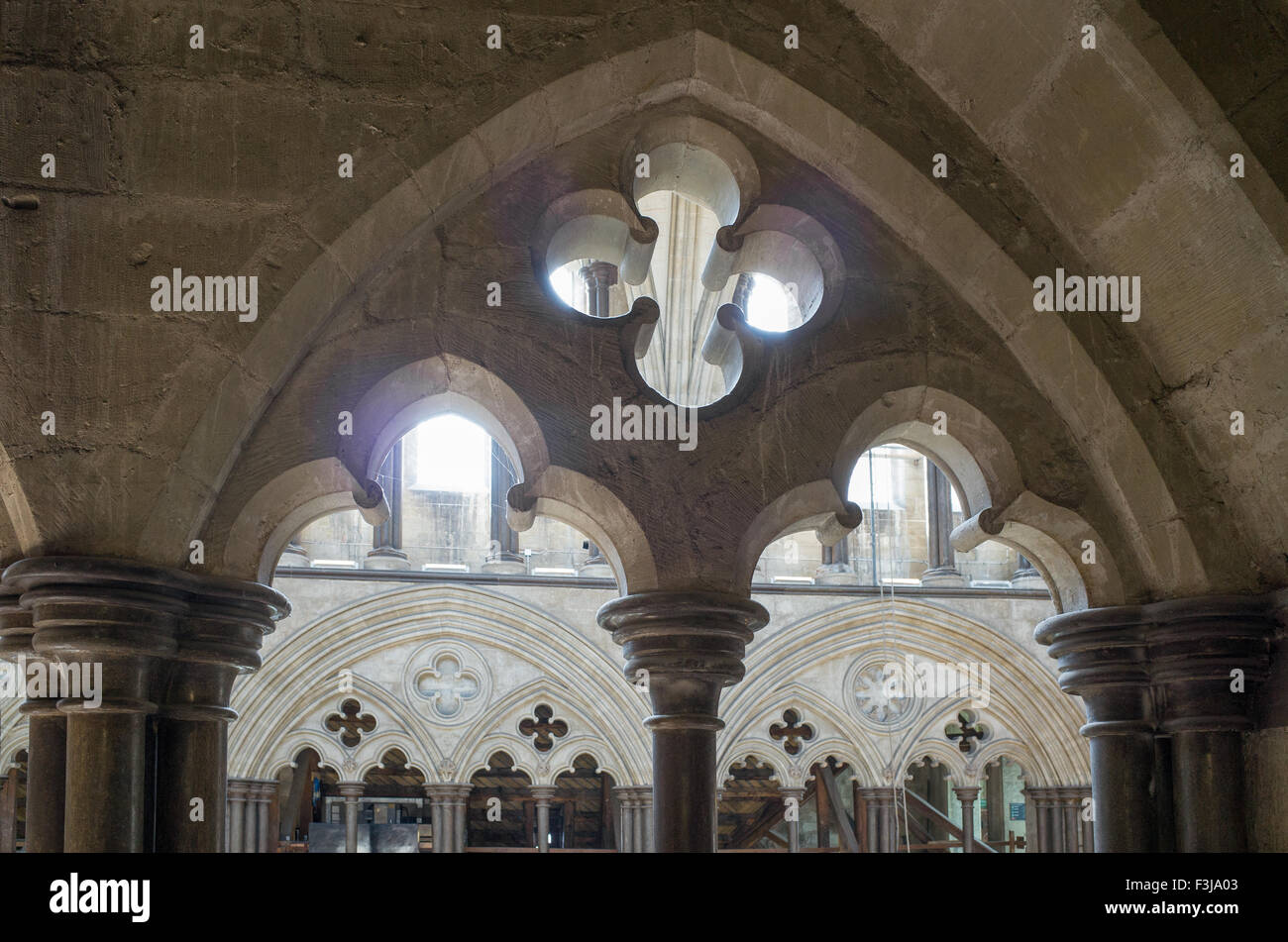 Premier étage à la cathédrale de Salisbury, une cité médiévale de style gothique du xiiie siècle lieu de culte chrétien construit dans le sud de l'Engla Banque D'Images Premier étage à la cathédrale de Salisbury, une cité médiévale de style gothique du xiiie siècle lieu de culte chrétien construit dans le sud de l'Engla Banque D'Images