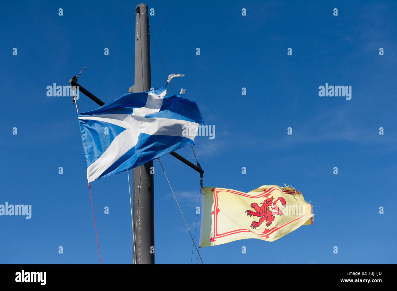 St Andrew's Cross ou le sautoir,le drapeau de l'Ecosse. Banque D'Images