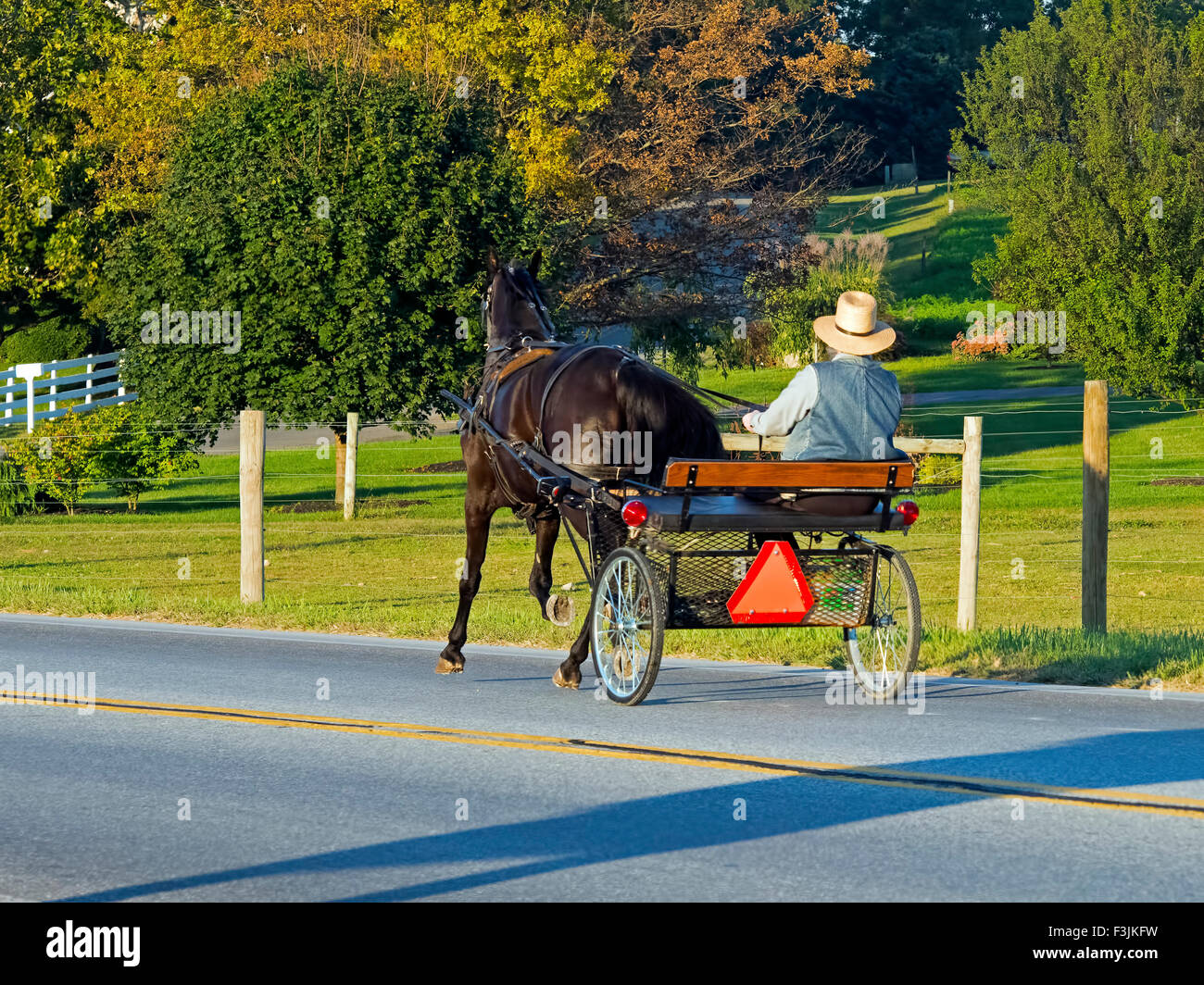 Cheval et buggy Amish on Country Road Banque D'Images