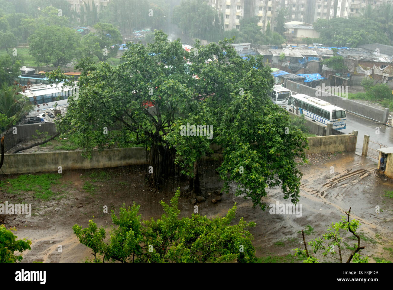 La Pluie de mousson Bus arbres Dahisar Bombay Mumbai Maharashtra Inde Asie Banque D'Images