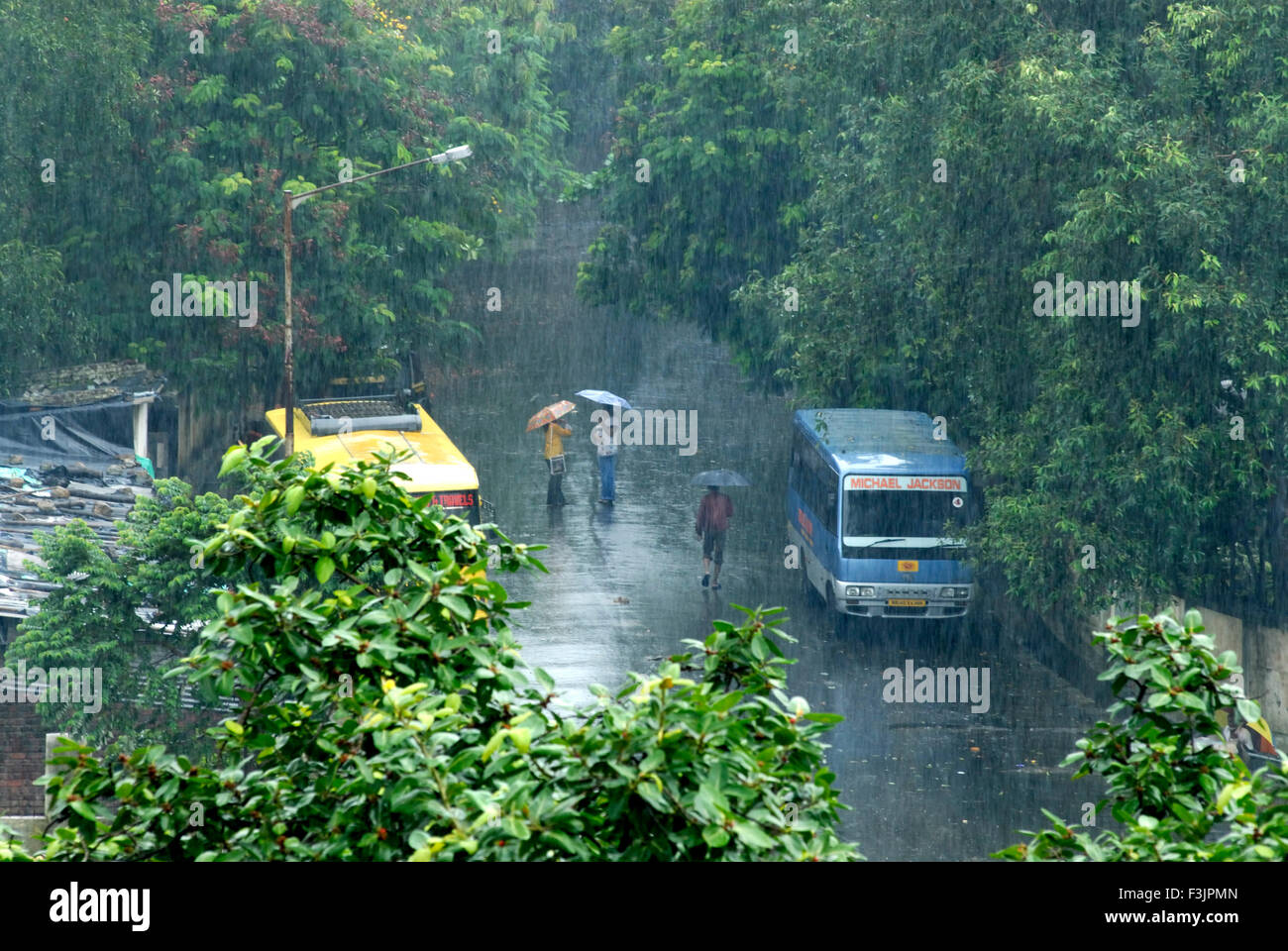 Verdure pluie road bus Dahisar Bombay Mumbai maharashtra inde Banque D'Images