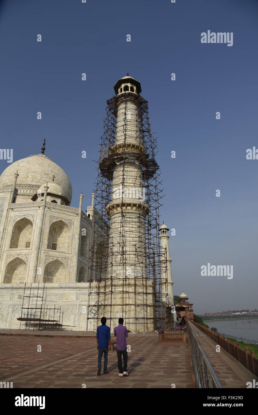 Taj Mahal mausolée en marbre blanc de l'architecture Mughal rénovation pilier minar nettoyage à la rive sud de la rivière Yamuna Agra Inde Banque D'Images