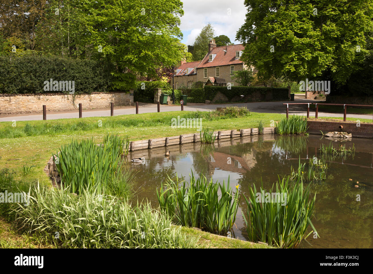 Royaume-uni, Angleterre, dans le Yorkshire East Riding, Brantingham, étang du village à côté de Hall Farm Banque D'Images