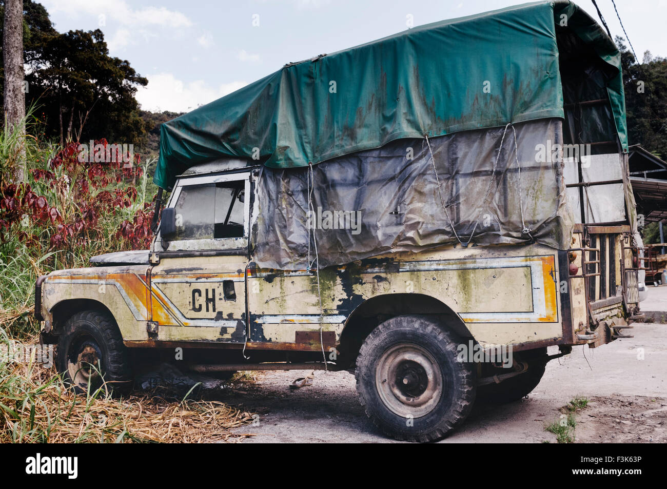 Cameron Highlands, Malaisie - on estime à 7000 vieux Land Rover dans la région, un héritage de la période britannique. Banque D'Images