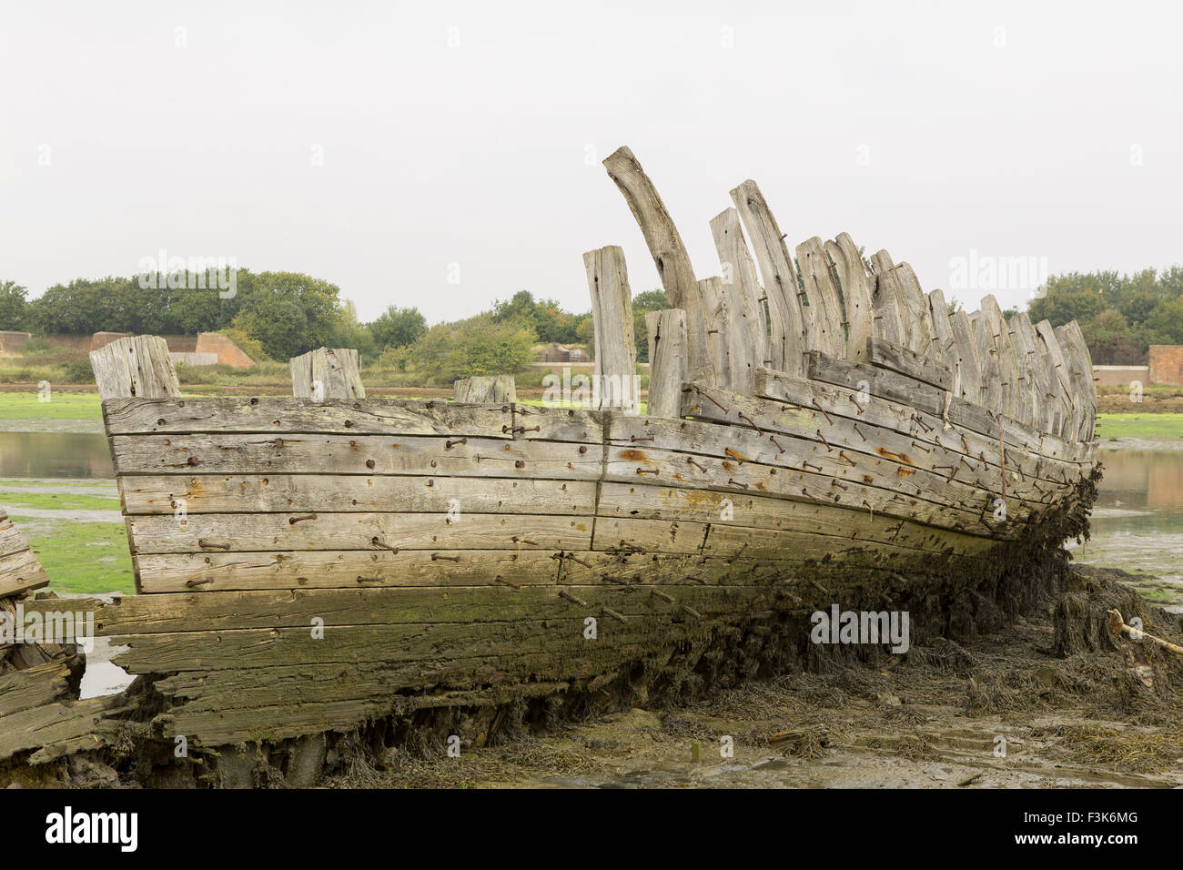Bateau en bois squelette. Coque en décomposition d'un grand bateau en bois. Rivets et clous peut clairement être vu contre la coque en bois Banque D'Images