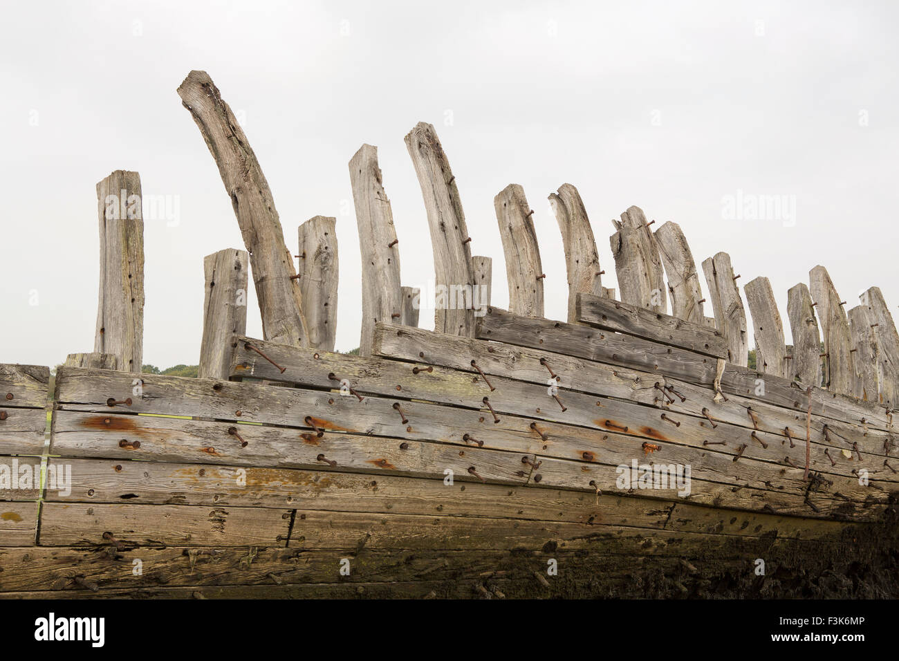 Bateau en bois squelette. Coque en décomposition d'un grand bateau en bois. Rivets et clous peut clairement être vu contre la coque en bois Banque D'Images