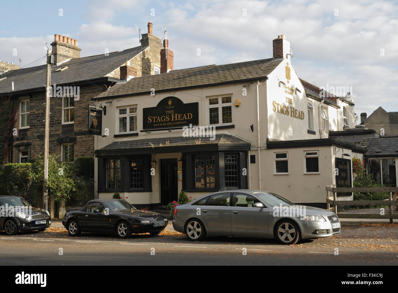 The Stags Head pub Psalter Lane Sheffield, Angleterre Banque D'Images