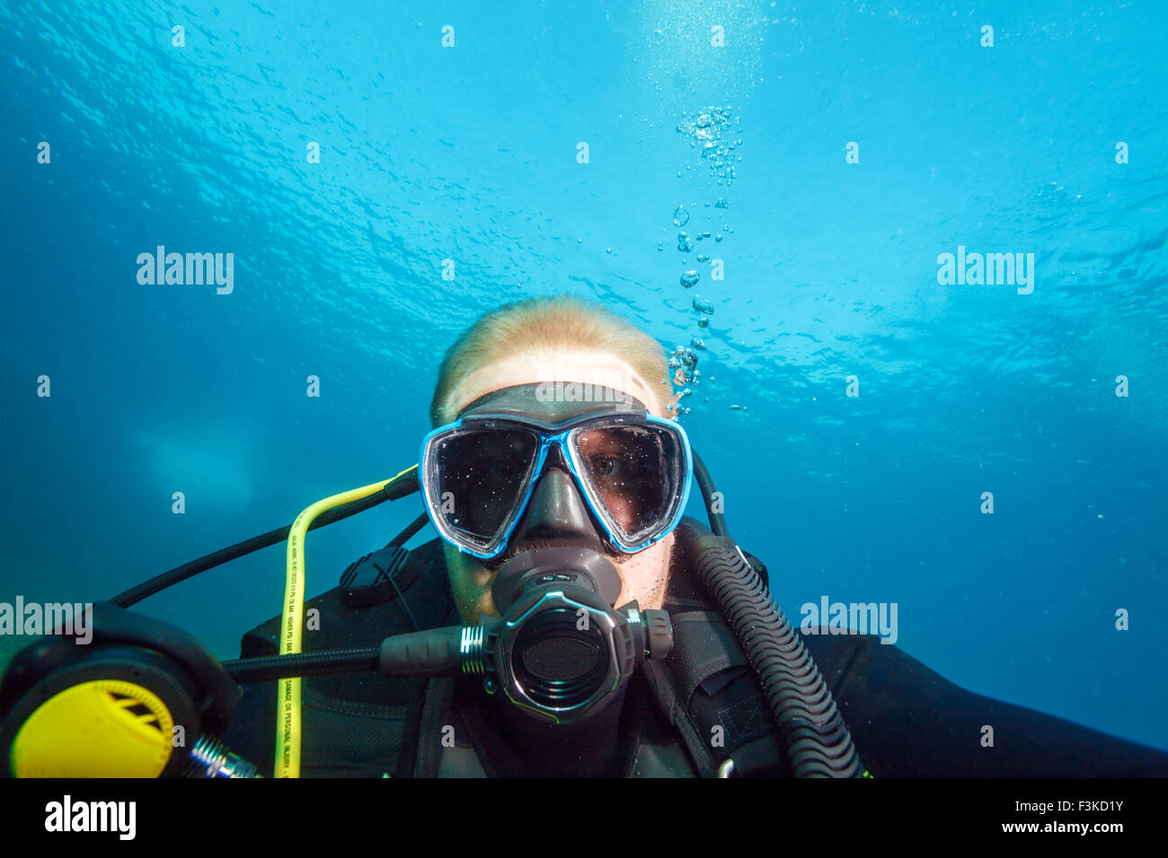 Plongeur, montrant tout droit à l'appareil photo Banque D'Images