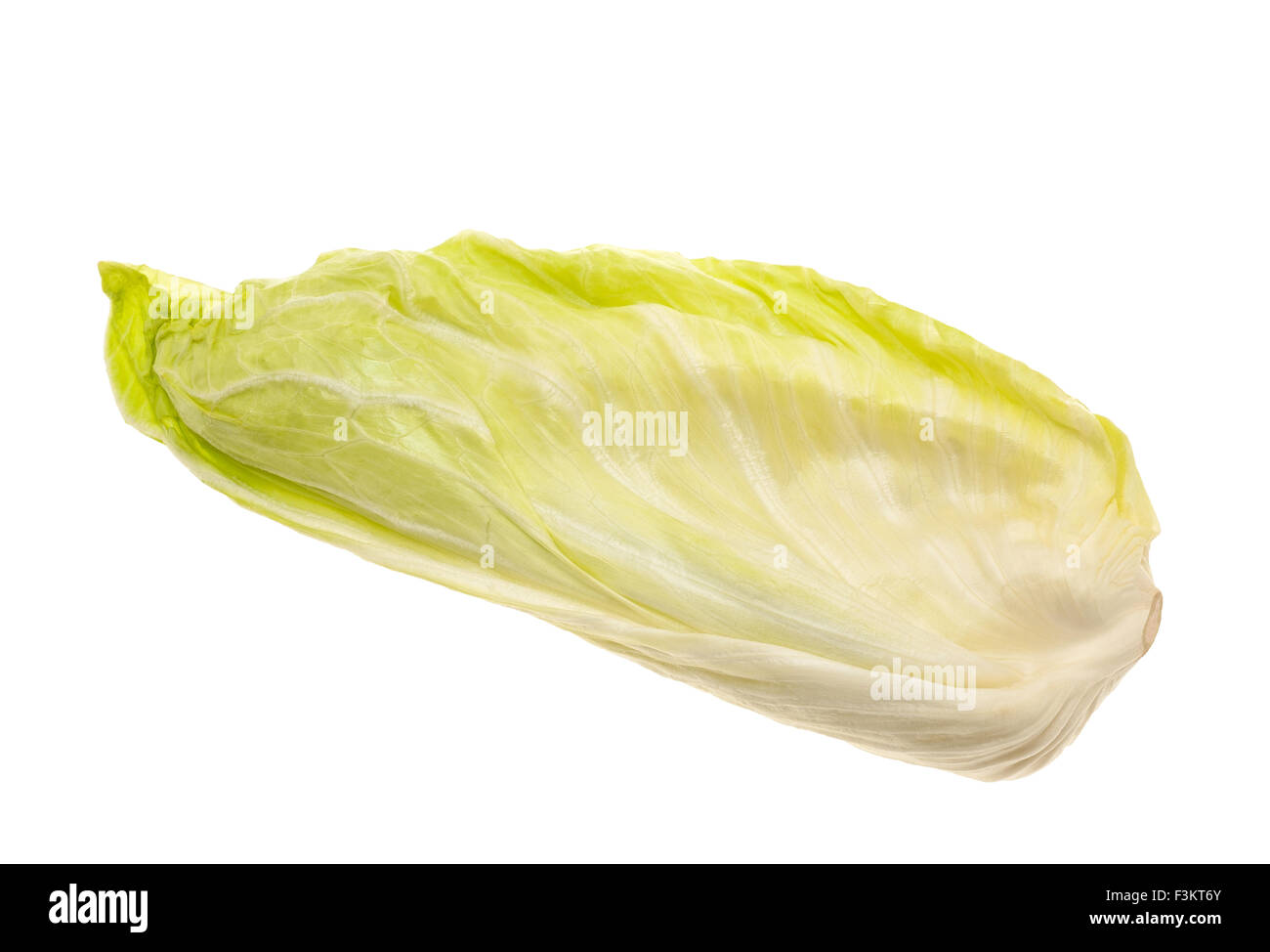 Salade verte isolated on white Banque D'Images