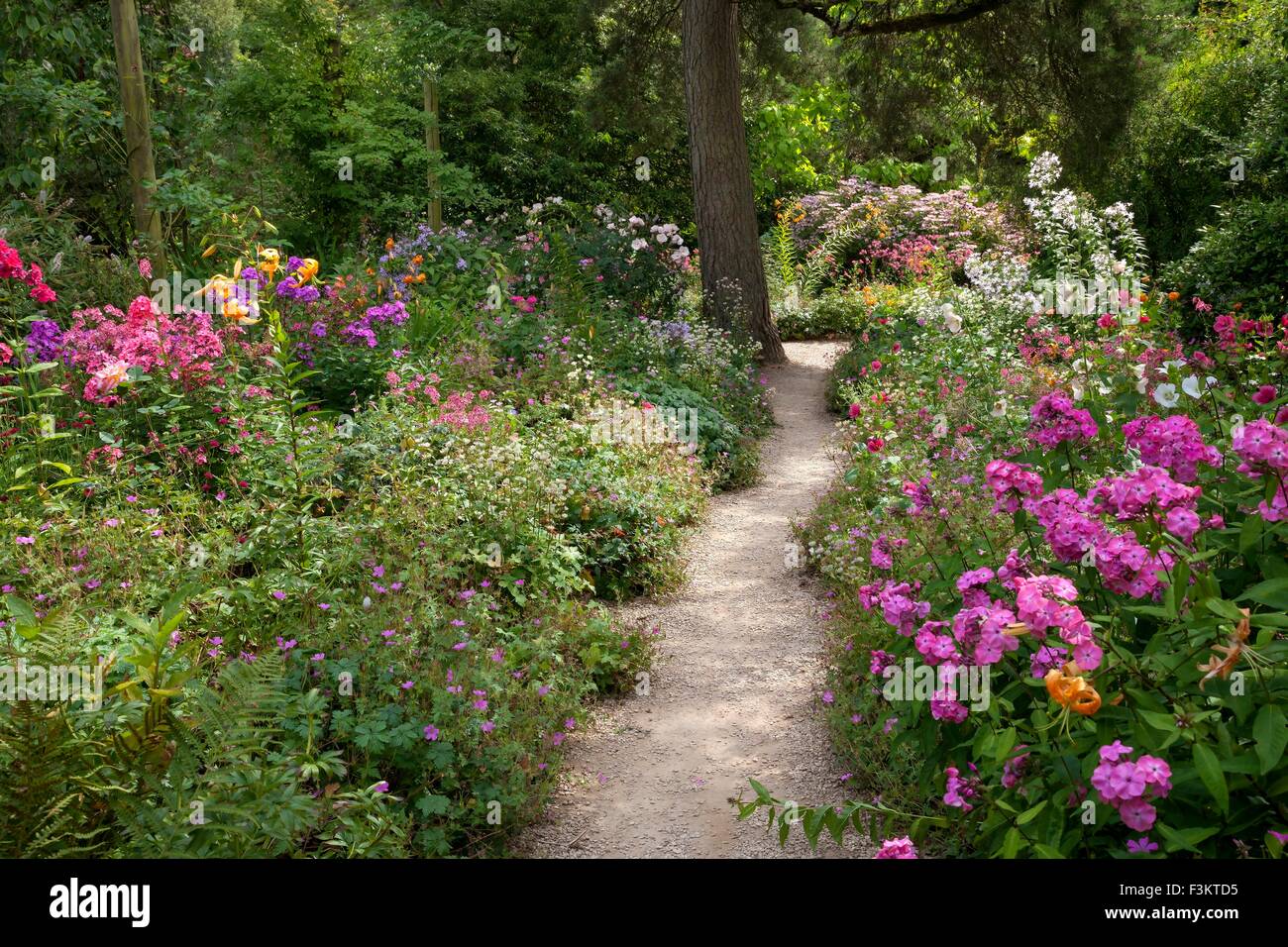 Chemin de gravier coloré de fleurs, grâce à l'Angleterre. Banque D'Images