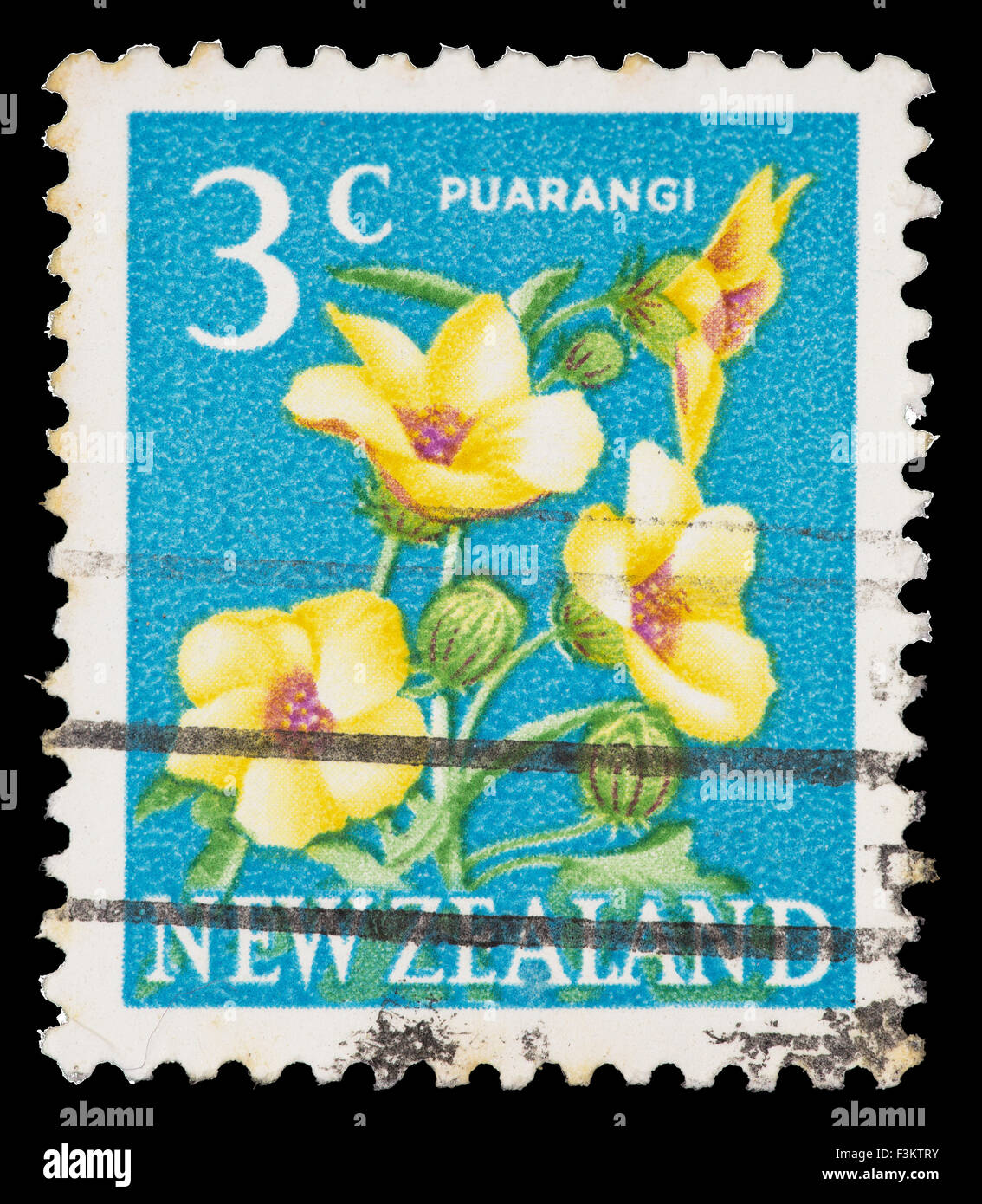 Nouvelle Zélande - circa 1967 : un timbre-poste imprimé en Nouvelle-Zélande montre une Puarangi fleur, Hibiscus richardsonii, vers 1967 Banque D'Images