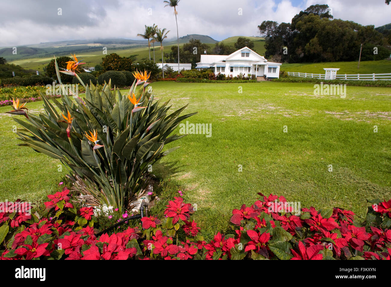 Paysage de campagne ; Anna Ranch et Waimea, île de Hawaii, Hawaii, United States of America. New York, HI, Waimea, ranch h Banque D'Images