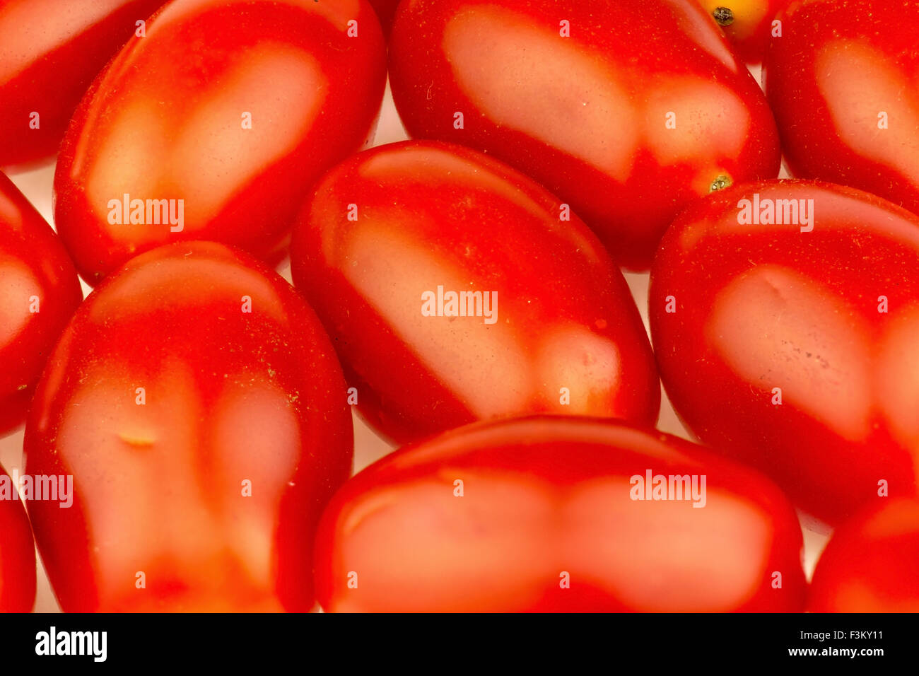 Gros plan macro de tomates cerises Banque D'Images