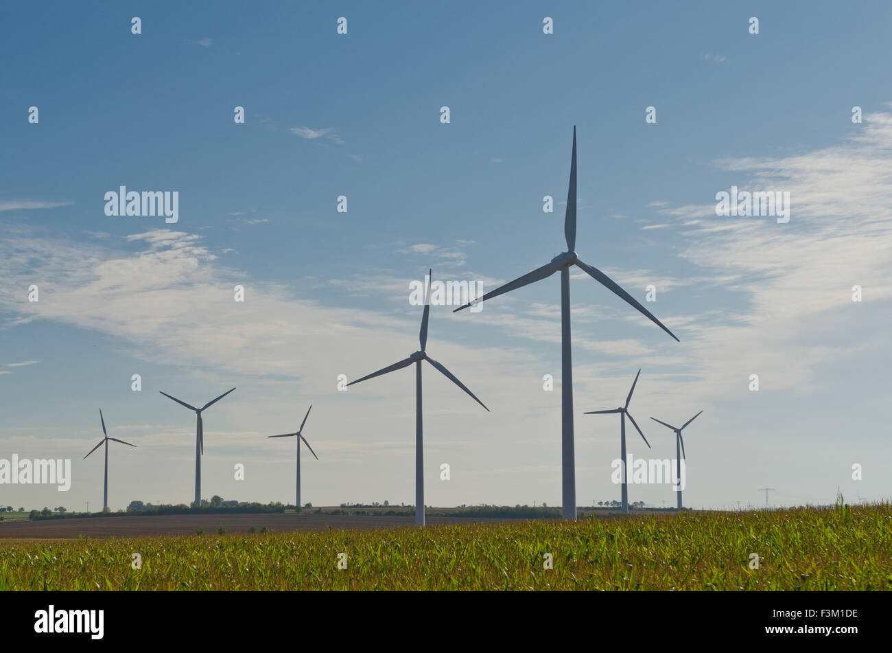 Certaines éoliennes en paysage agricole avec ciel bleu Banque D'Images