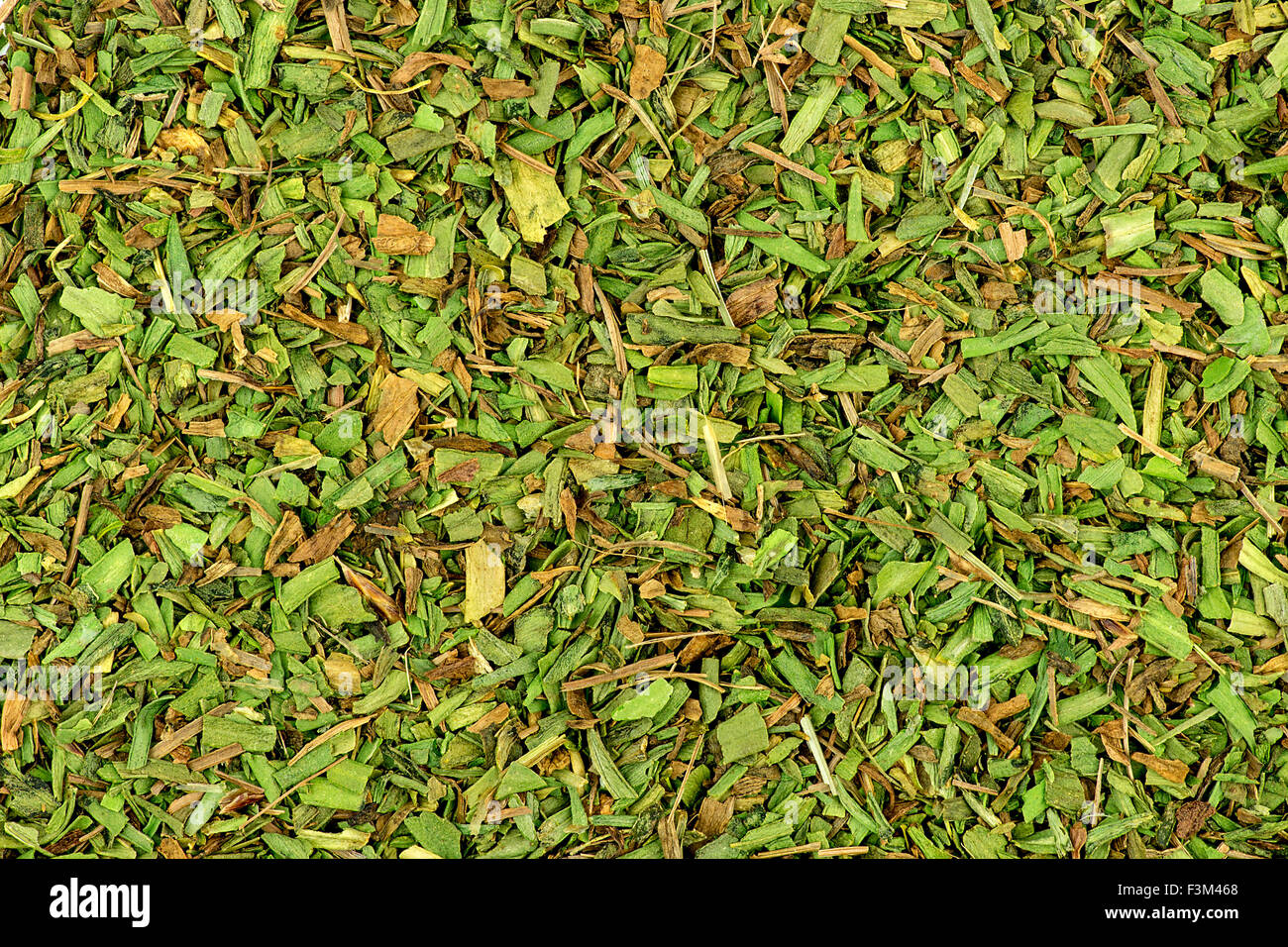 La texture de fond d'herbe à l'estragon Banque D'Images