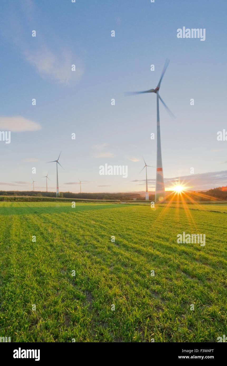 Six éoliennes dans l'agriculture et au coucher du soleil avec ciel bleu Banque D'Images