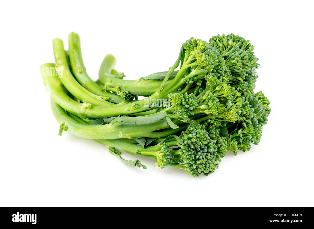 Broccolini isolés contre white Banque D'Images