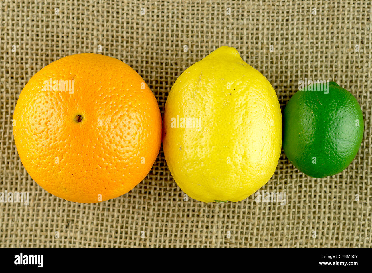 Agrumes colorés Banque D'Images