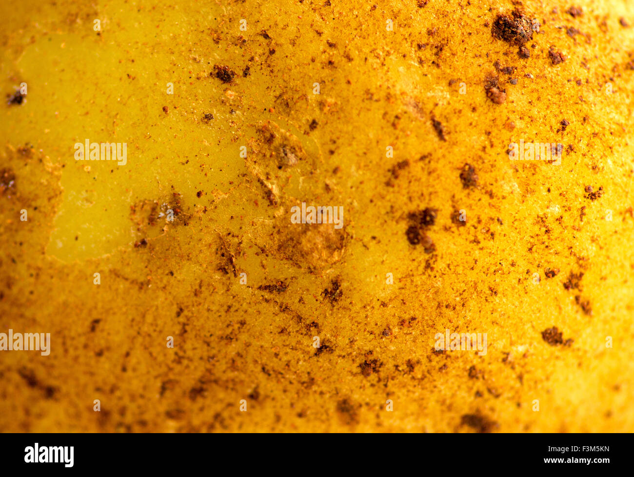Close up de matières, de pommes de terre non cuites Banque D'Images