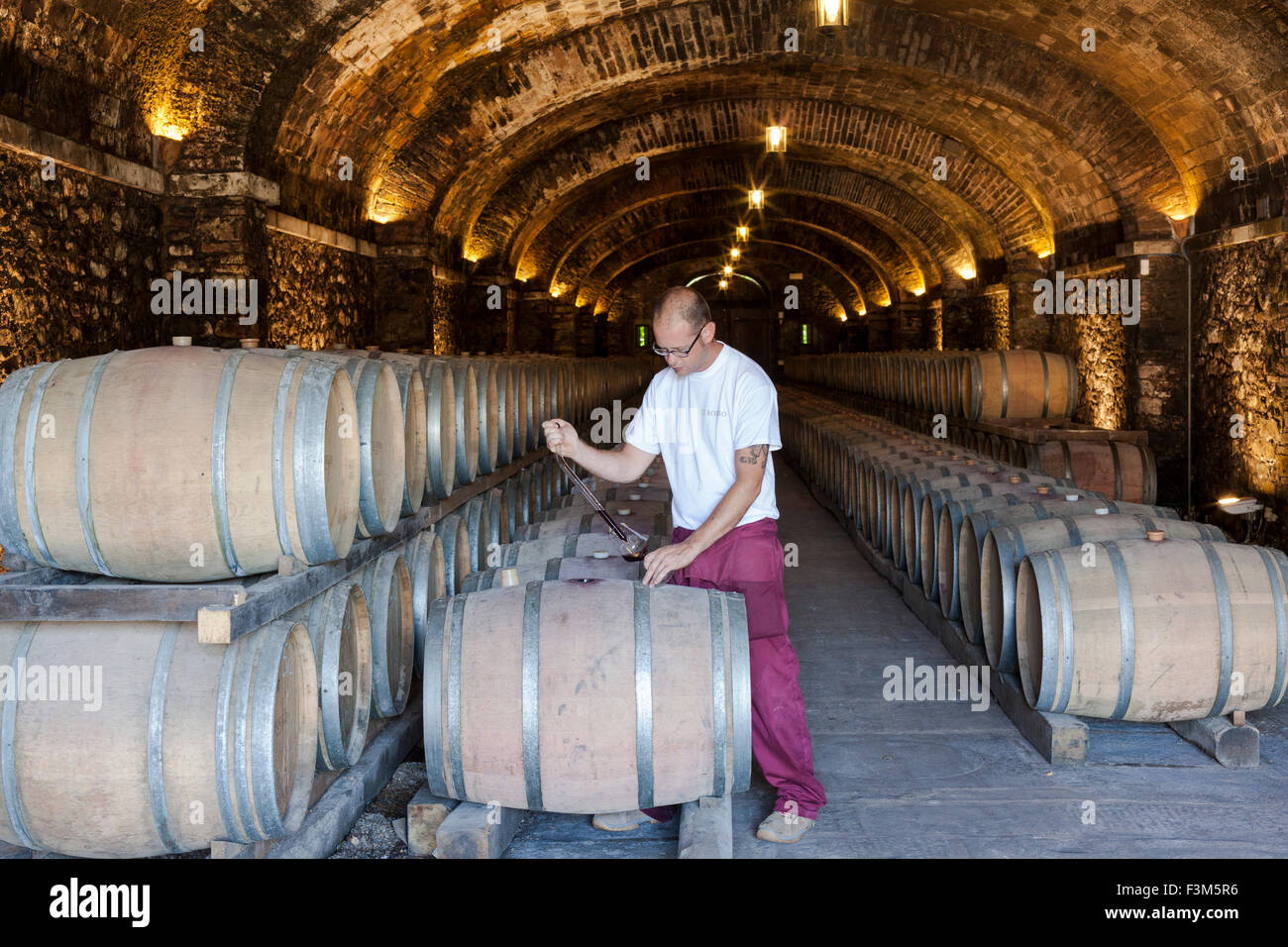 Test de vin dans les caves de fermentation à Il Borro, agristurismo à San Giustino Val D'Arno, Toscane, Italie Banque D'Images