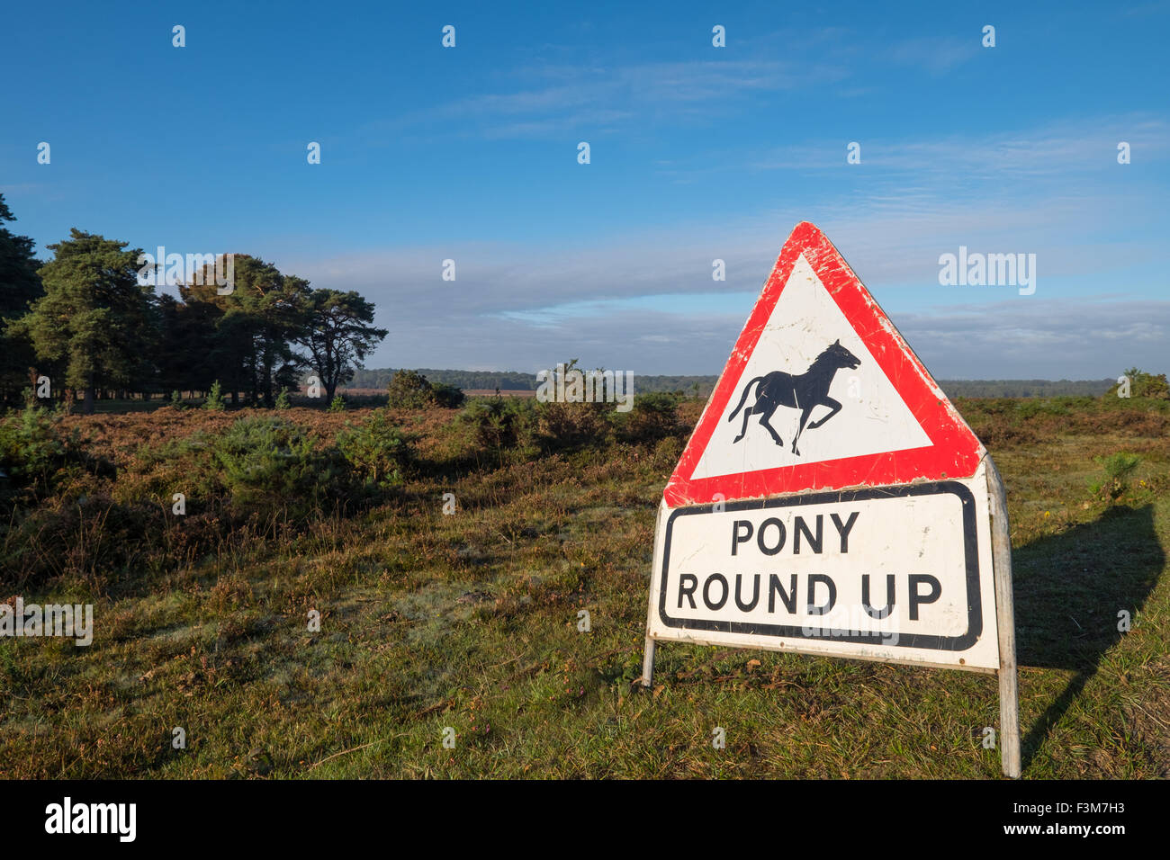 Pony round up attention panneau routier dans la New Forest Hampshire UK Banque D'Images