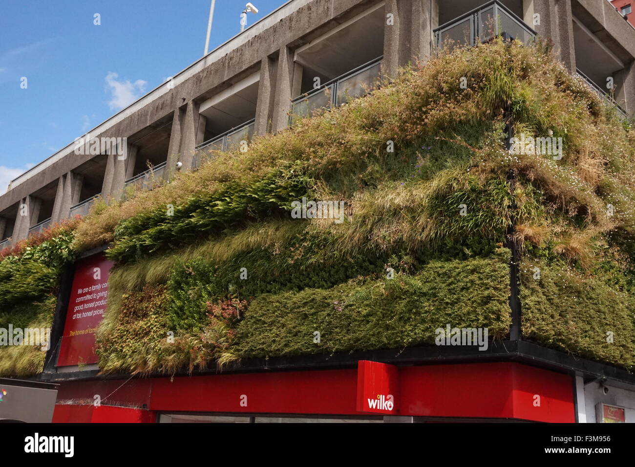 'Un mur vivant' de plantes qui poussent les murs extérieurs de Wilko's à Sutton, Londres Banque D'Images