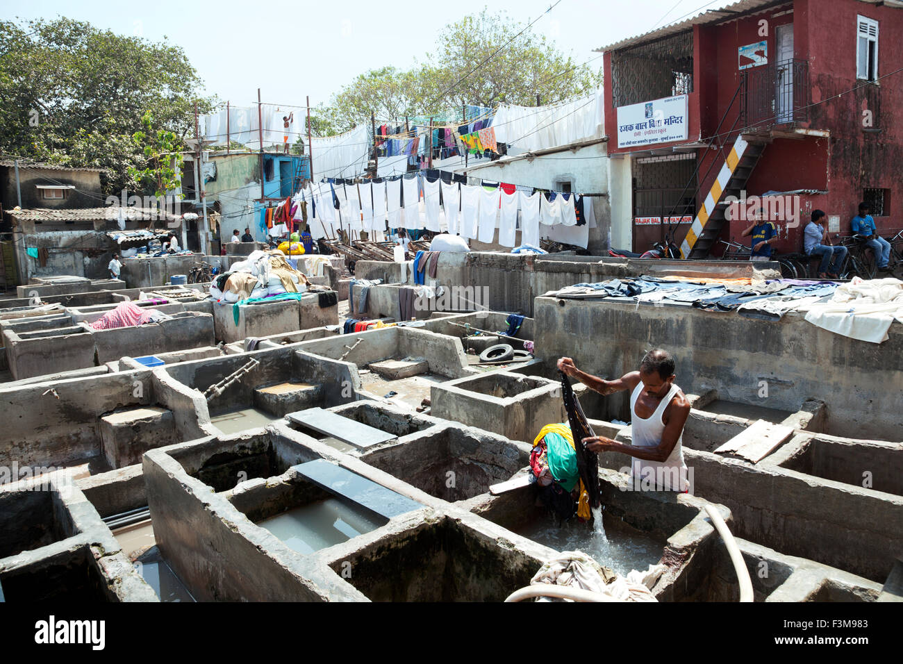 L'homme, travailler, blanchisserie, Inde Banque D'Images