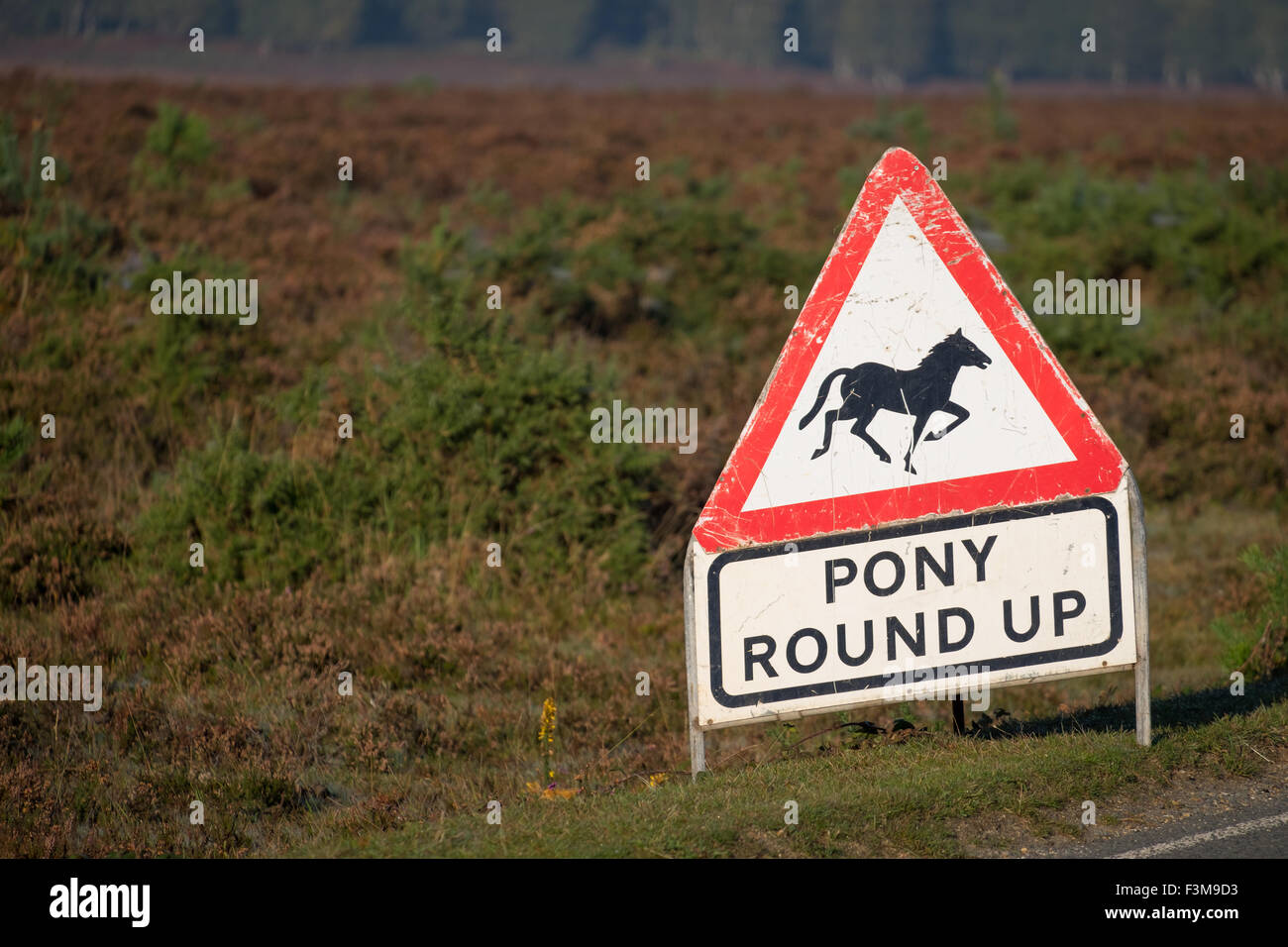 Pony round up attention panneau routier dans la New Forest Hampshire UK Banque D'Images