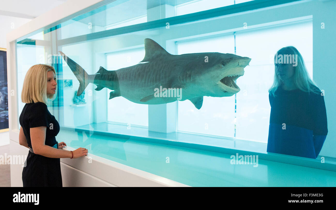 Deux employés Ordovas regarde le ciel, un grand requin en suspension dans un réservoir rempli d'une solution de formaldéhyde (2008-2009) par Damien Hirst. La Grande Bleue, sur l'affichage à l'Ordovas dans Savile Row du 25 septembre au 12 décembre 2015, est une exposition d'œuvre inspirée par la mer qui porte sur près de deux millénaires. Banque D'Images