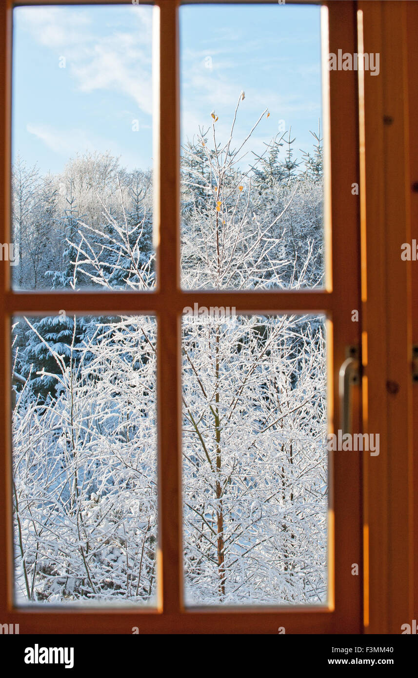 Tôt le matin d'hiver glacial, vue à travers une fenêtre. Banque D'Images