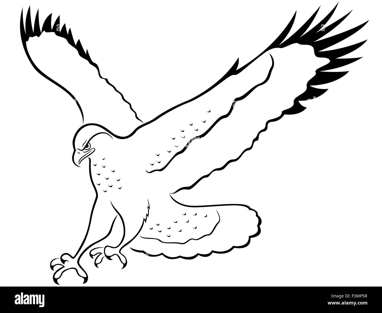 Hawk avec de larges ailes déployées au cours de l'attaque, cartoon vector contours Illustration de Vecteur