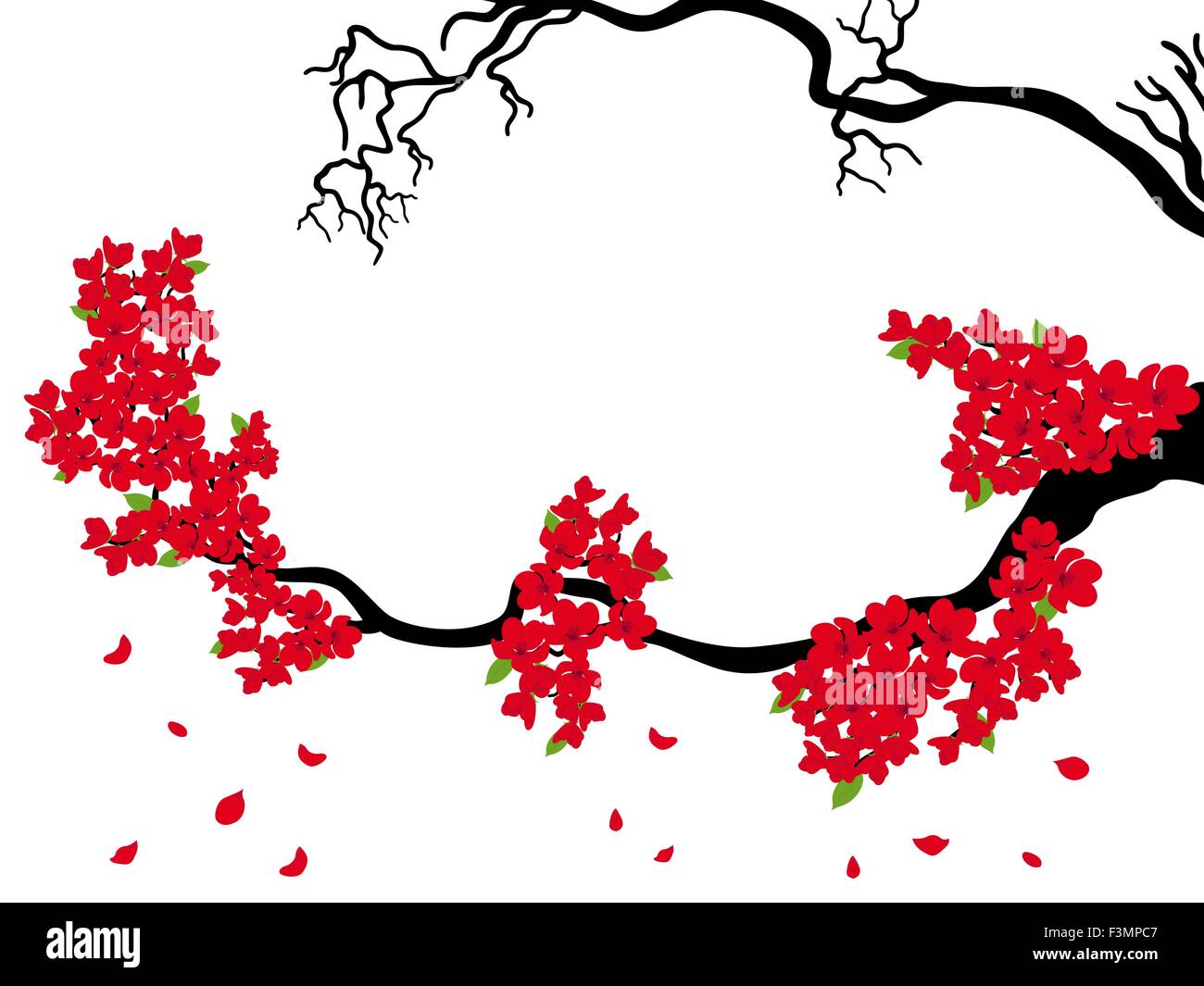 Sakura en fleurs et branches séchées (Japanese cherry tree) sur le fond blanc, dessin à la main vector illustration Illustration de Vecteur