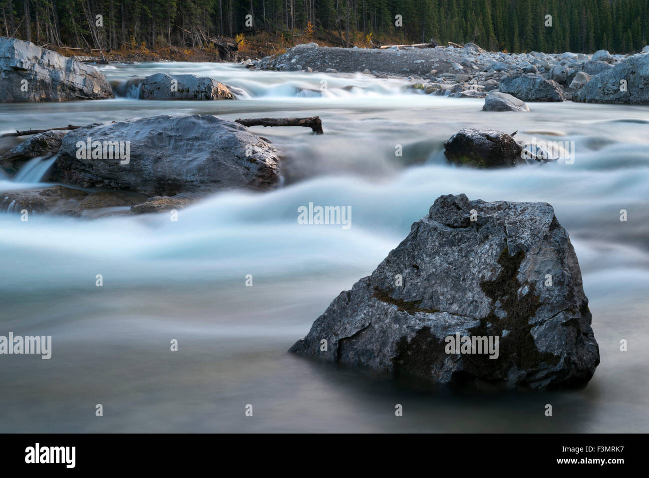 Rapids à Kananaskis Banque D'Images