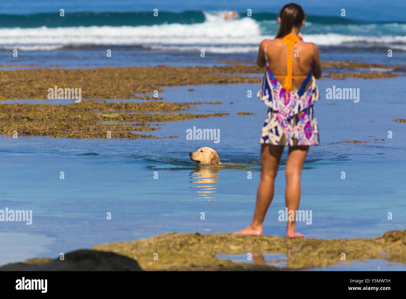 Femme debout sur la plage tandis que chien nage.L'île de Bali.L'Indonésie. Banque D'Images