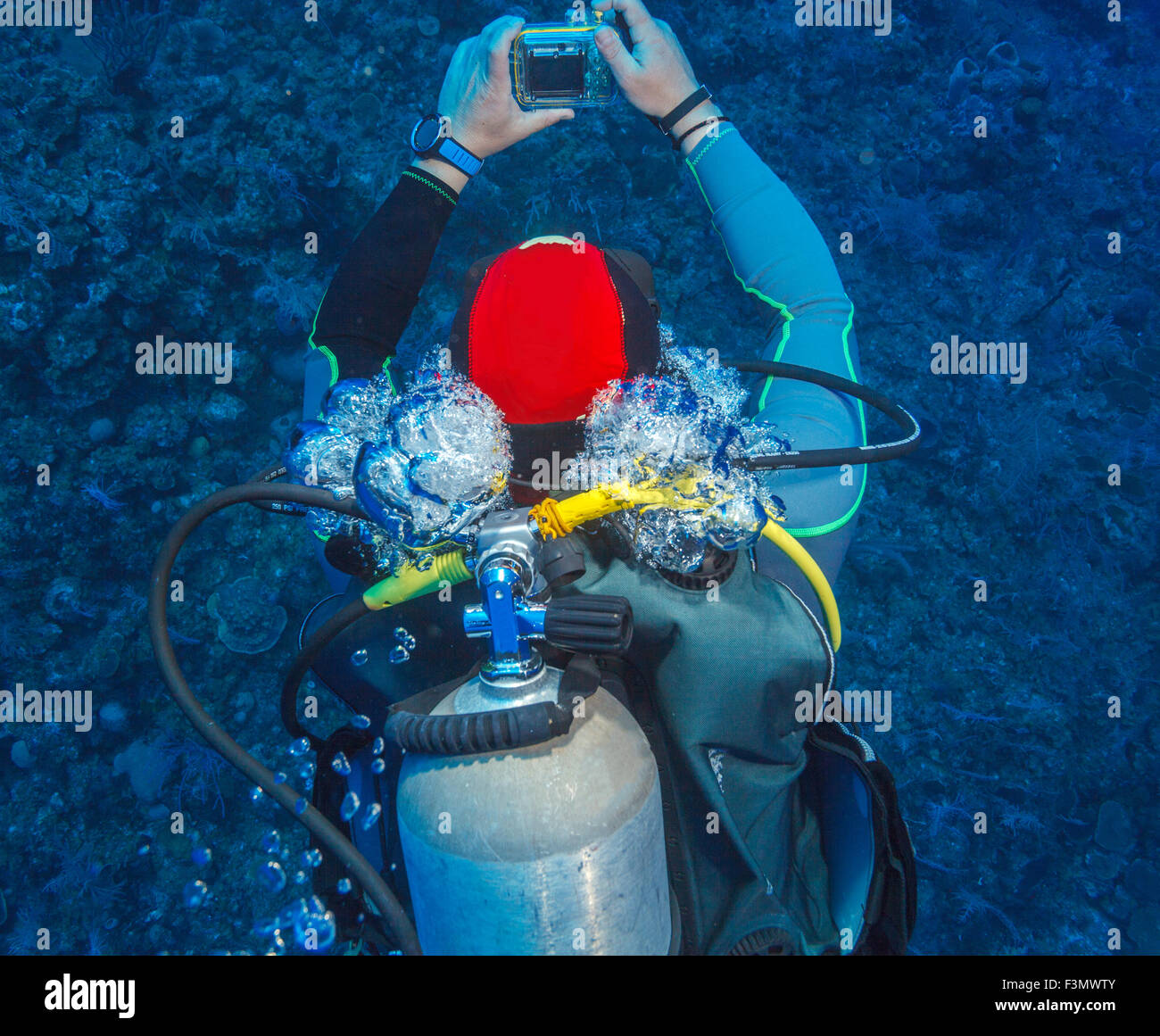 Plongée sous marine, natation, Cuba Banque D'Images